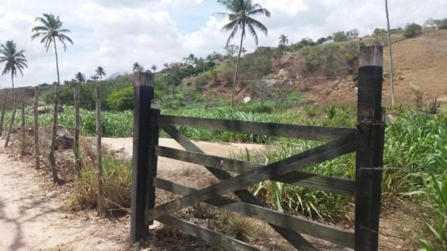 Sítio para venda em gravatá, nossa senhora das graças, 4 dormitórios, 2 suítes, 3 banheiro - Foto 20