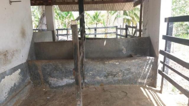 Sítio para venda em gravatá, nossa senhora das graças, 4 dormitórios, 2 suítes, 3 banheiro - Foto 17