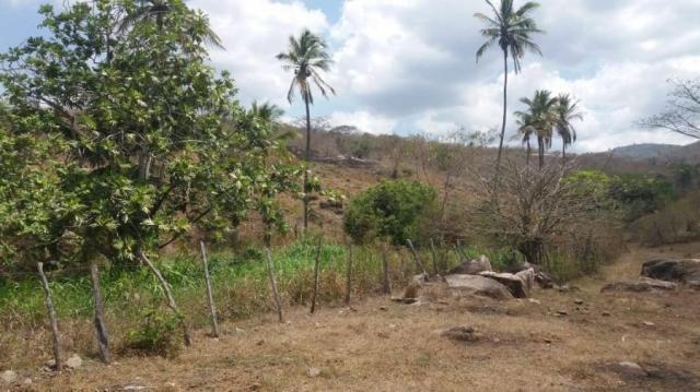 Sítio para venda em gravatá, nossa senhora das graças, 4 dormitórios, 2 suítes, 3 banheiro - Foto 9