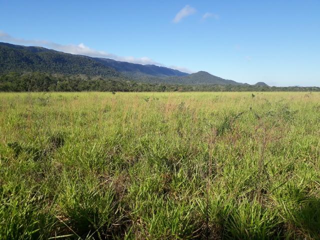 Fazenda com 784,77 hectares entre Jangada e Rosário Oeste - Foto 16