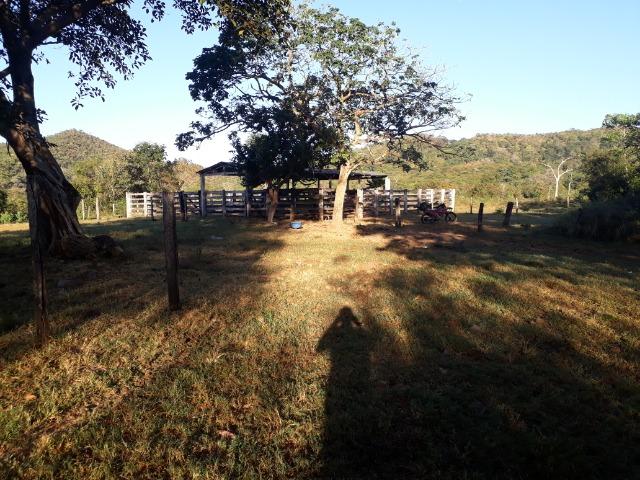 Fazenda 866 Hectares apos 35 km da Agrovila das Palmeiras - Foto 11