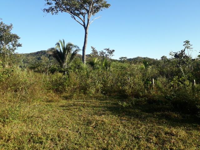 Fazenda 866 Hectares apos 35 km da Agrovila das Palmeiras - Foto 15
