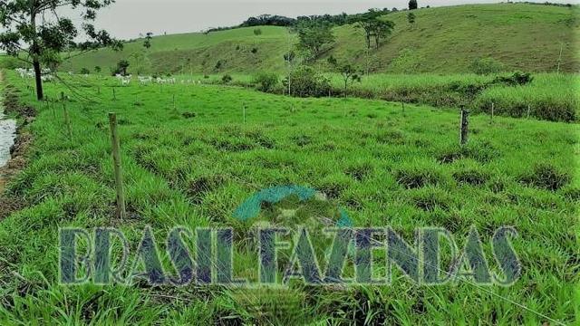 Fazenda em Itamaraju - Foto 12
