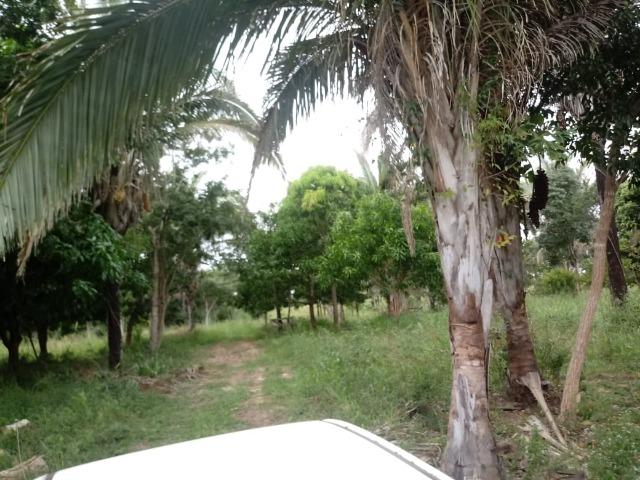 Fazenda para Pecuária em Livramento a 51 km de Cuiabá - Foto 16
