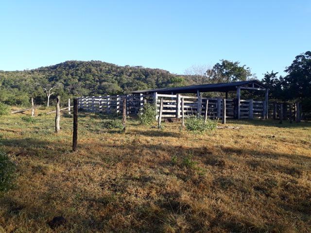 Fazenda 866 Hectares apos 35 km da Agrovila das Palmeiras