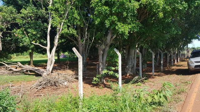 Chácara 12.500m² Alto da boa vista Próximo três lagoas Foz do Iguaçu - Foto 5