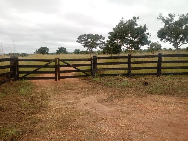 Fazenda para Pecuária em Livramento a 51 km de Cuiabá - Foto 12