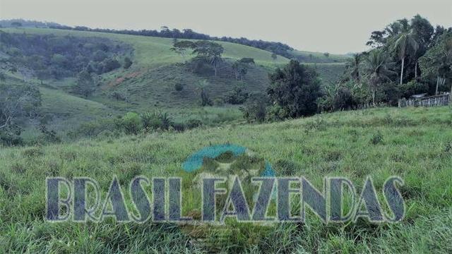 Fazenda em Itamaraju - Foto 8