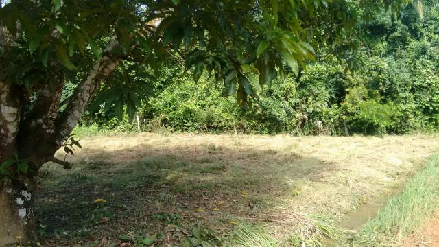 Vendo um terreno medindo 12×25