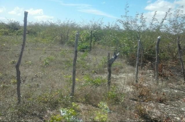Terreno - Foto 2