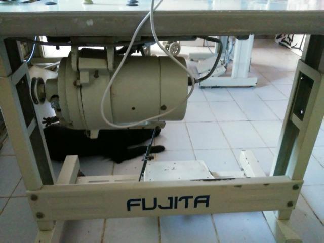 Maquina de costura