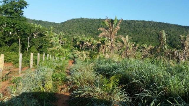 Vendo Fazenda de 1702 hectares no Leste do Maranhão - Foto 19