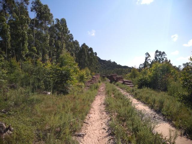 Chácara na localidade de Paquete - Capela de Santana - Foto 4