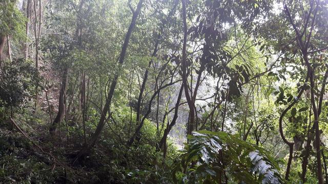 Alfredo Wagner , Serra Catarinense 8,0 hectares - Foto 14