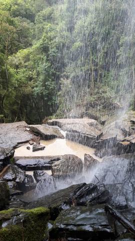 Alfredo Wagner , Serra Catarinense 8,0 hectares - Foto 12