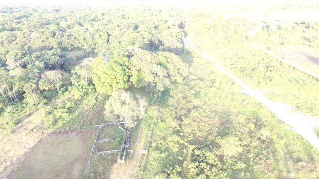 R$350 mil reais 17 hectares em Castanhal -Pa com casa boa de alvenaria - Foto 7