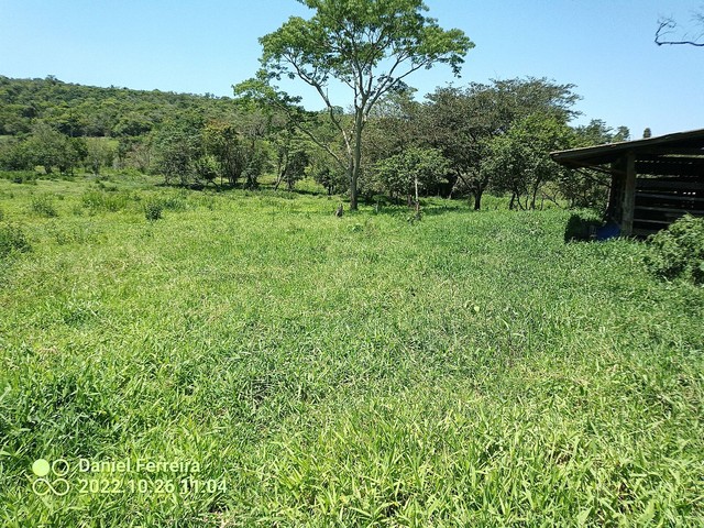 2 alqueires Sítio beira de rodovia Corumbatai - Foto 3
