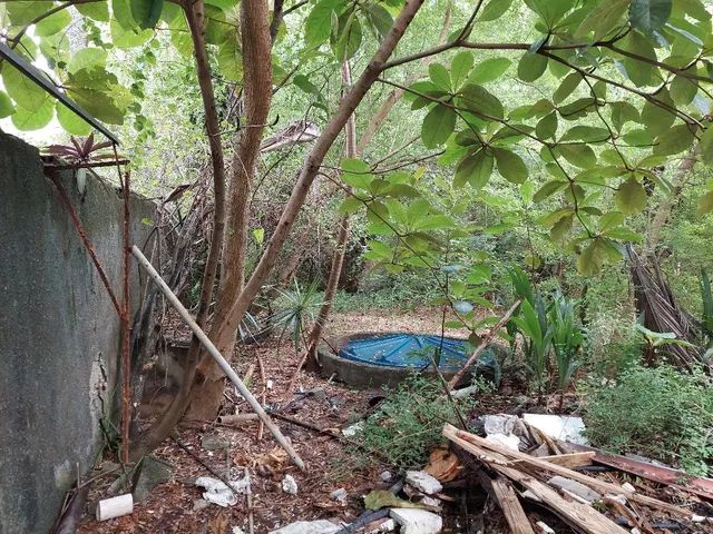 VENDO Terreno em condomínio fechado no Park 41 com 560M² no Pina - Recife - PE - Foto 15