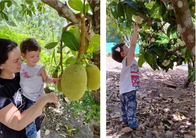 Chácara com Piscina em Bonito/PE - Terra das Cachoeiras - Foto 9