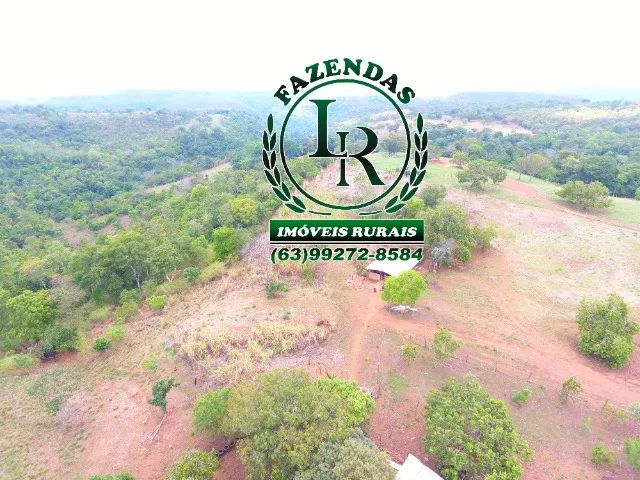 Fazenda 6 Alqueires Próximo a Palmas Tocantins - Foto 3