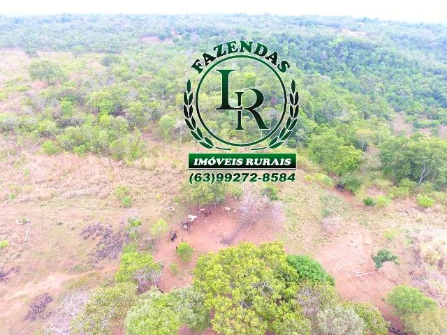 Fazenda 6 Alqueires Próximo a Palmas Tocantins - Foto 4