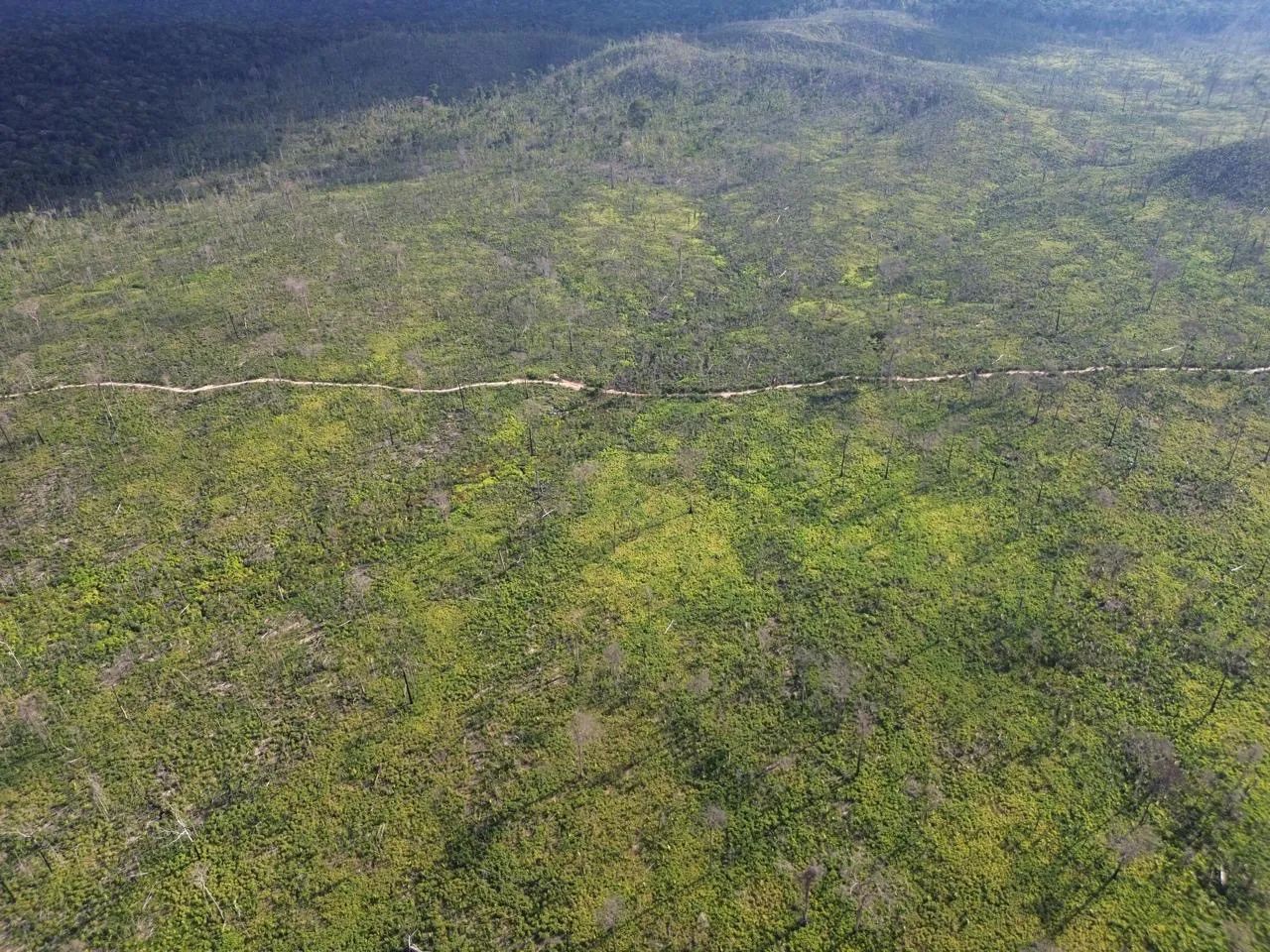 foto - Apuí - 