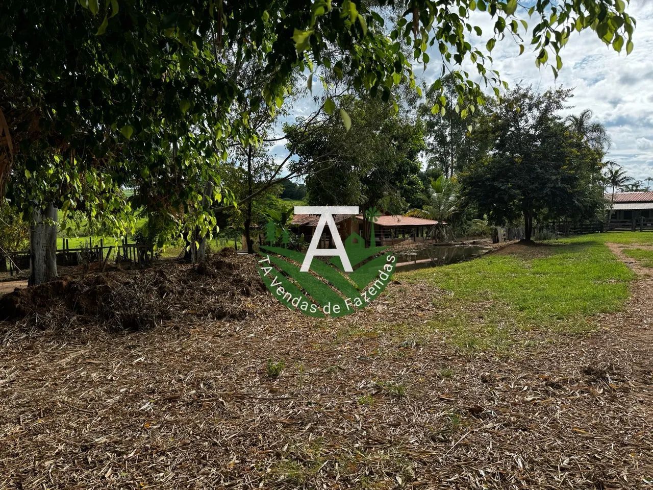 Fazenda de 212 alq em Ipameri-GO - Foto 3