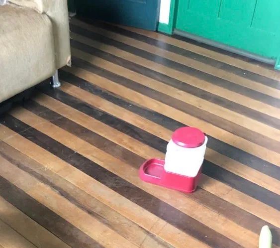 Assoalho de Madeira Peroba Canela