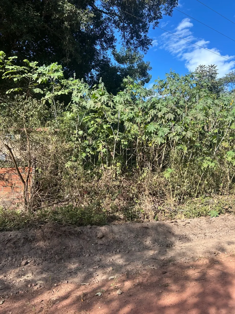 Vendo terreno
