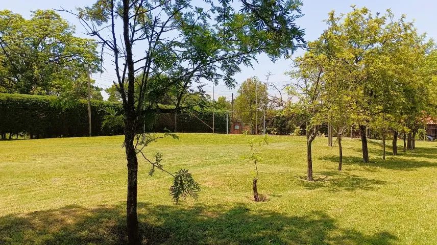 Terreno (chacara) rural 3000m2 Limeira/SP - Foto 4