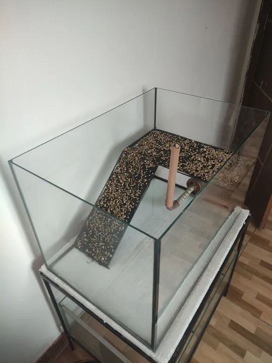 Aquário/ terrário - Foto 2