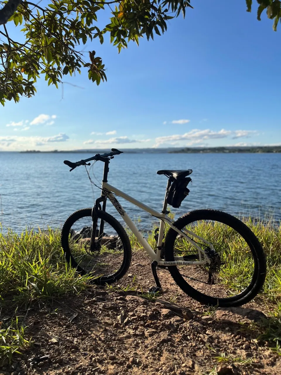 Bicicleta Mountain Bike