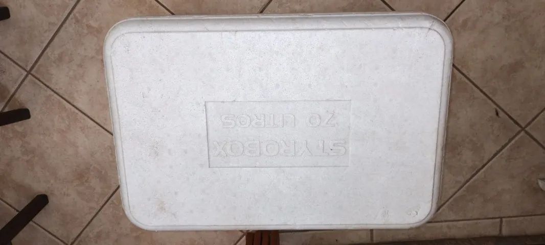 cx de isopor grande - Foto 2