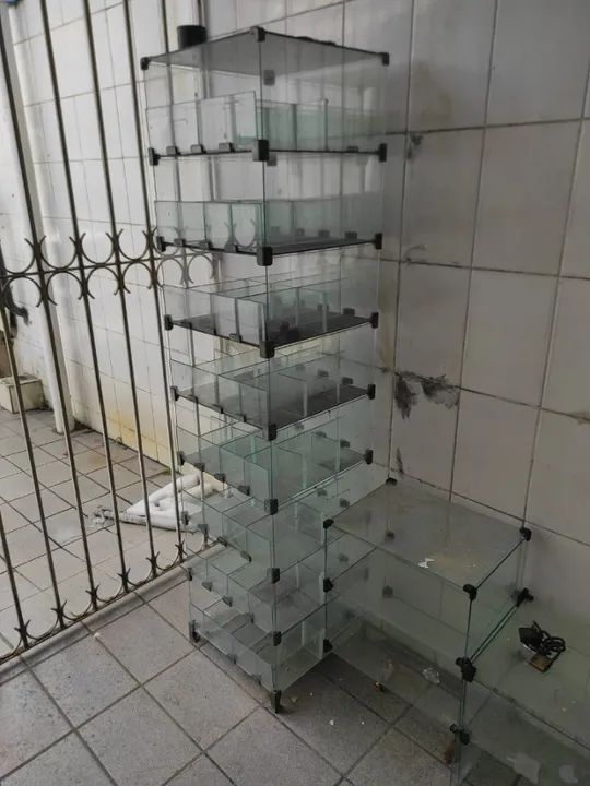 Vidros temperado e tradicional variedades