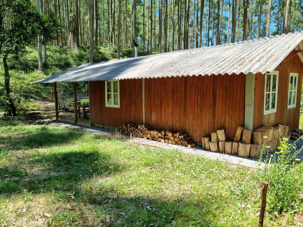 Sítio - 10 hectares - São Bonifácio - Foto 3