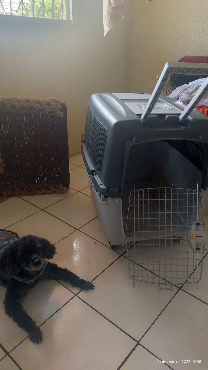 Caixa de Transporte para Cães - Foto 6