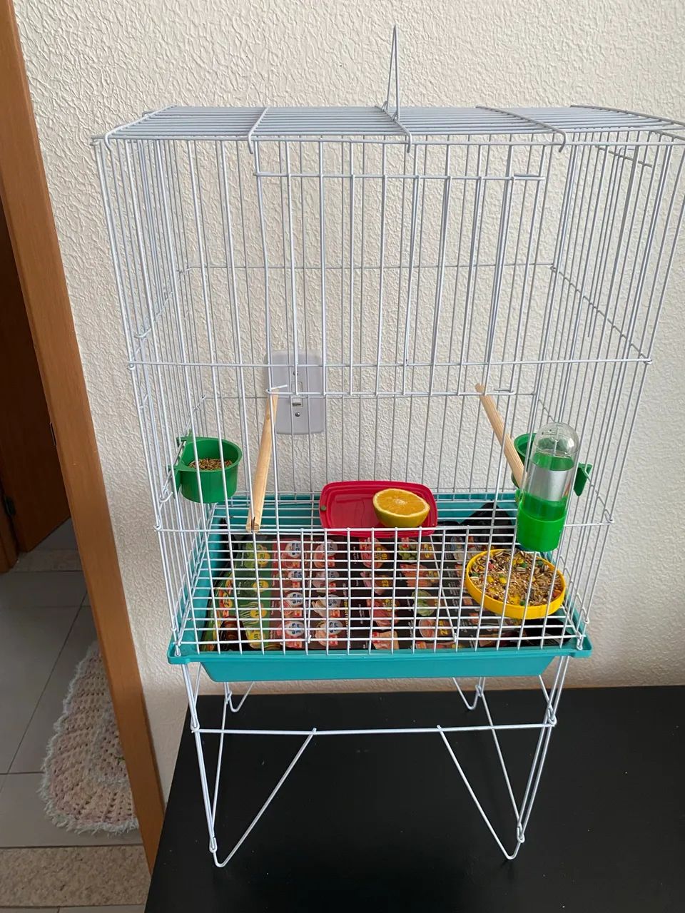 Gaiola64861039404291122