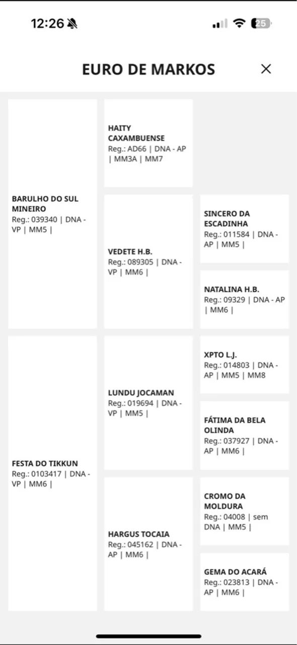 Cobertura - Cavalo Manga Larga Marchador ( registrado )-  PAMPA DE PRETO - Foto 2