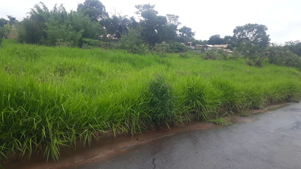 LOTES com 1000mts, topografia plana pronto para construir R$13.757,00 mais parcelas - Foto 5