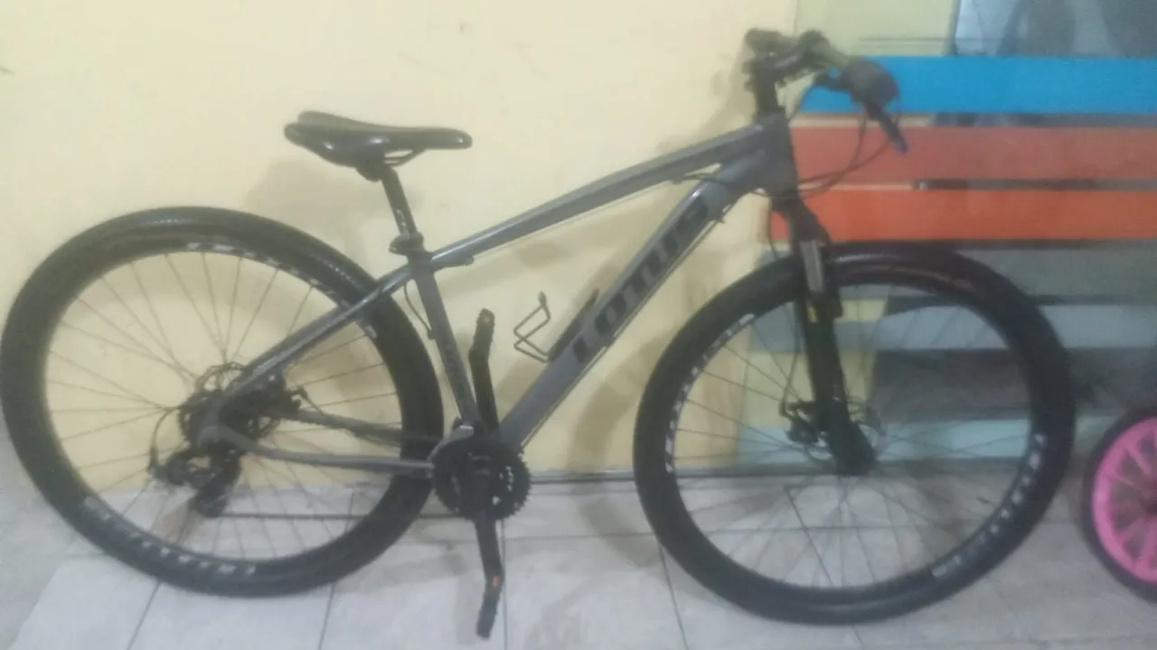 Bicicleta lotus alumínio 29 800,00