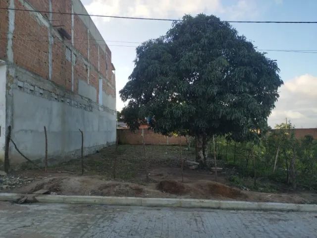 Terreno 10x22 - Foto 3