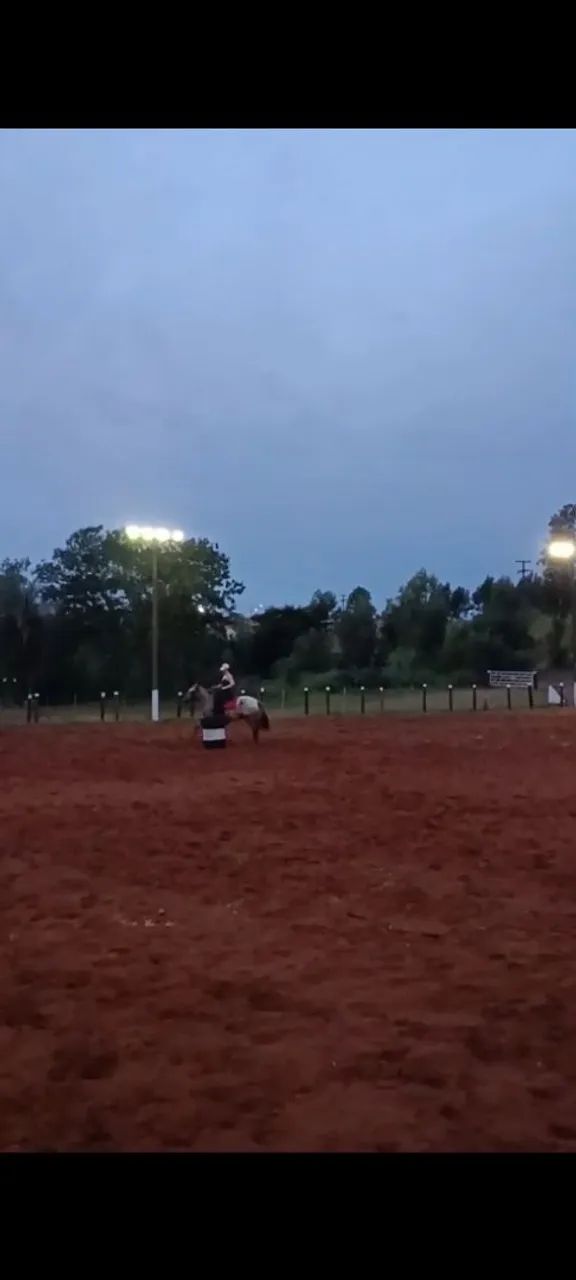 Vendo égua appaloosa - Foto 5