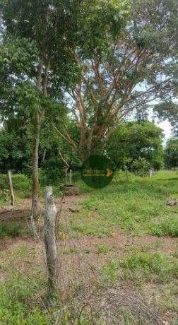 Fazenda à venda, 1960200 m² por R$ 5.390.000 - Zona Rural - Cristalândia/TO - Foto 4