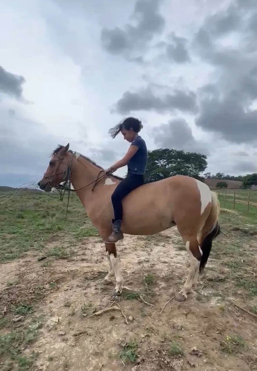 Vendo Égua pampa de 4 anos  - Foto 2