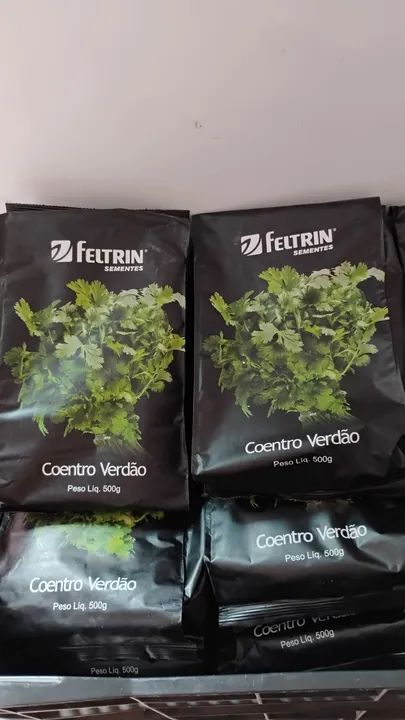 Pc semente coentro Verdão 500g