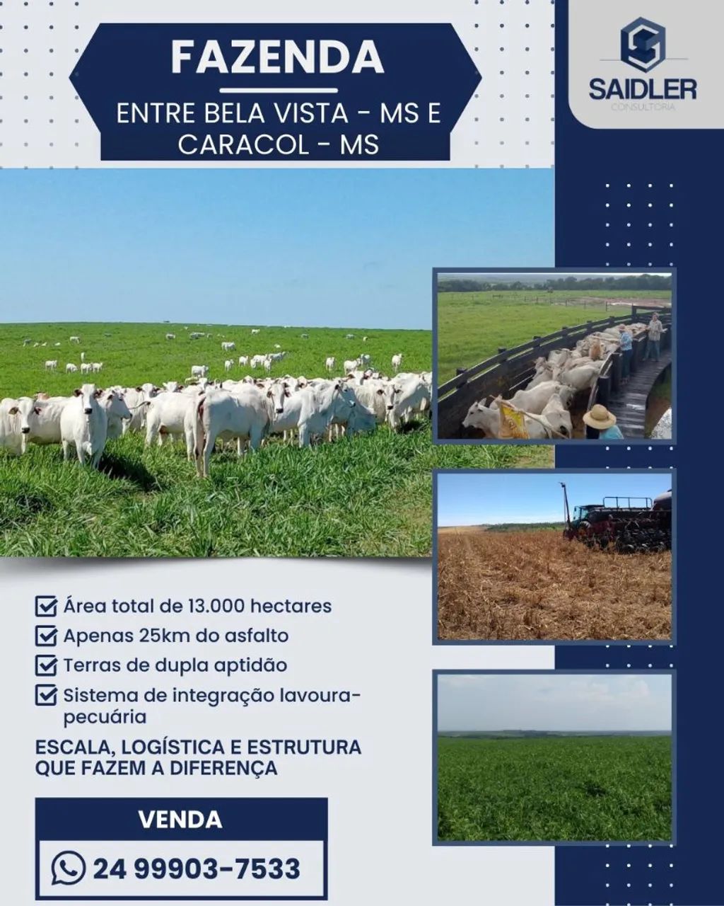 Fazenda com 13.000 hectares, Bela Vista MS