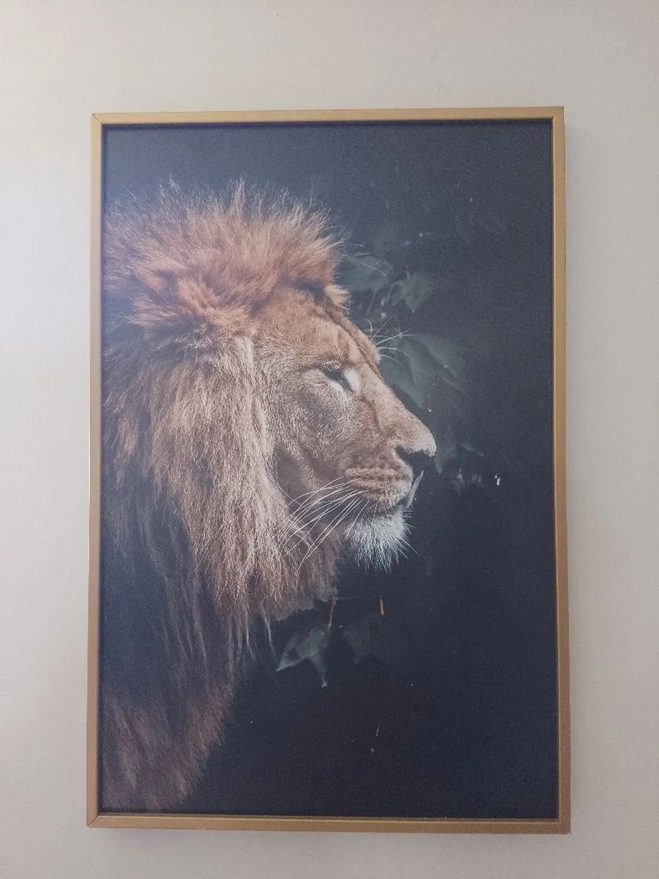 Quadro 