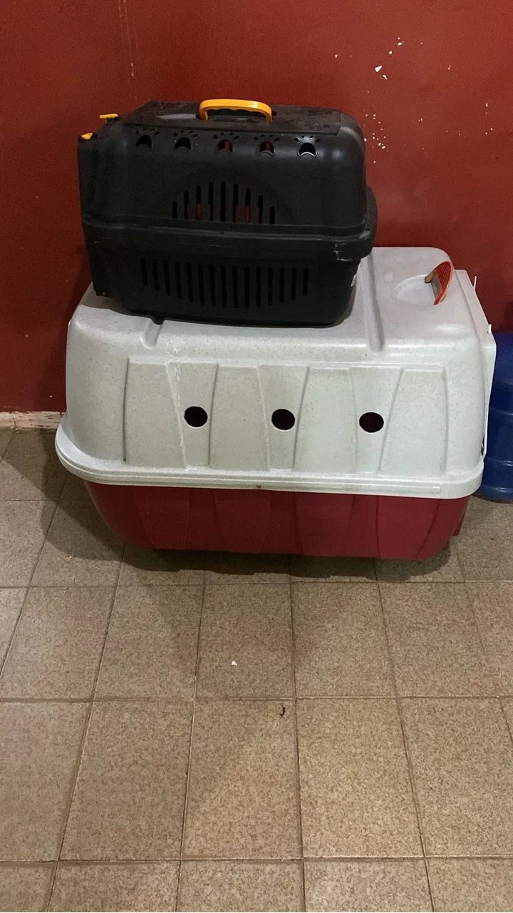 Vendo caixa pet bem espaçosa e com rodinhas.