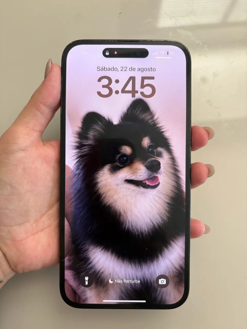 IPHONE 14 PRO MAX - Foto 2
