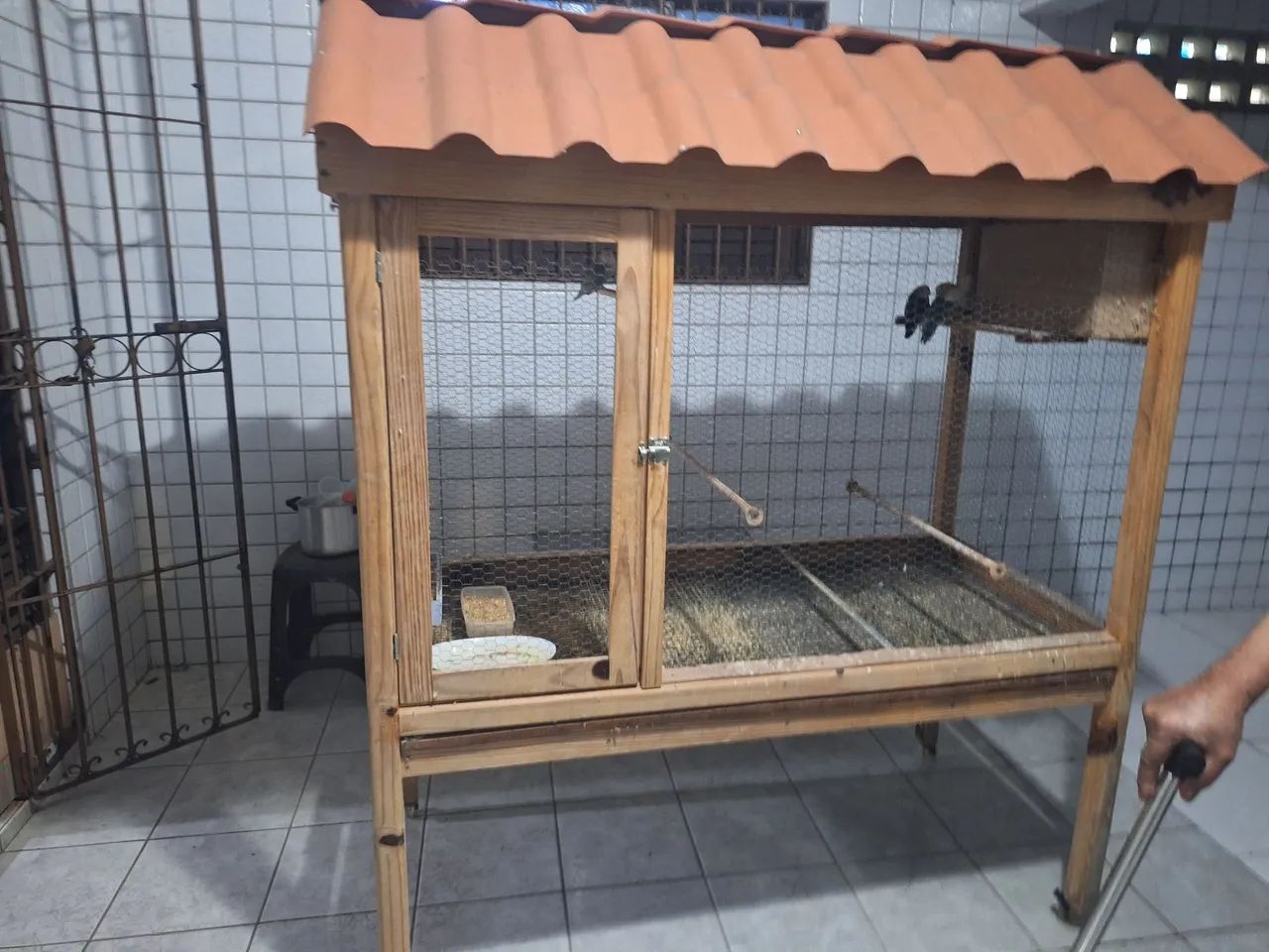Viveiro com pássaros para vender, bom e parato  - Foto 5